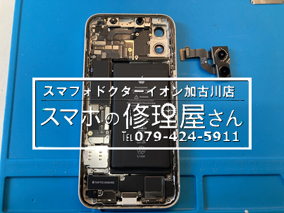 写真 2026-03-01 12リアカメラ.png