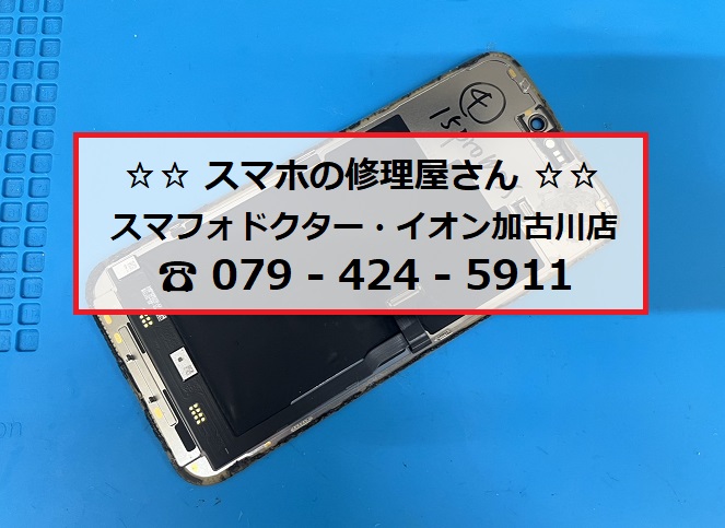 写真 2026-03-09 10 51 07.jpg