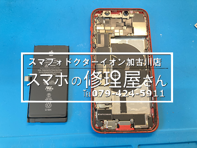 写真 2026-03-10 12ミニ.png