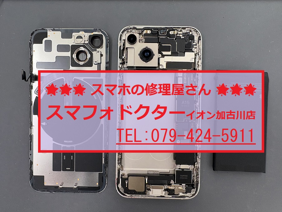 写真 2026-03-14 14 58 21.jpg