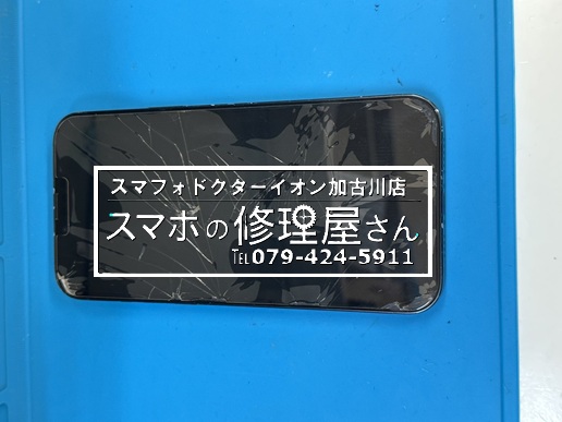 写真 2026-03-24 18 32 13い.jpg