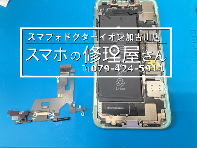 写真 2026-03-24 18 55 26.png