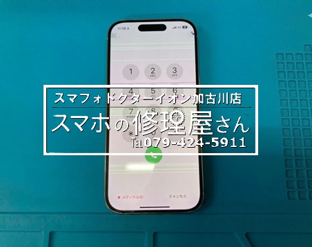 写真 2026-03-31 17 18 13.jpg