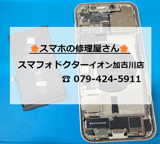 iP12-BT_20260721.jpg