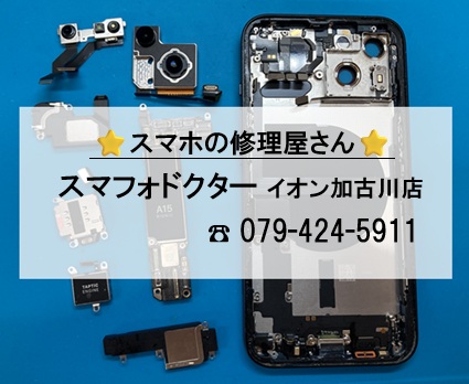 iP13-水没_20260803.jpg