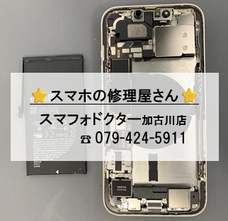 iP13-BT_20260726-2.jpg
