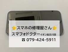 iP13-FG_20260702.jpg