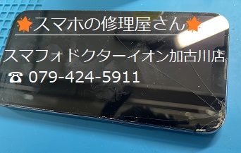 iP13-FG_20260817.jpg