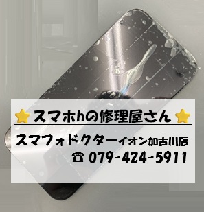 iP17-FG_20260827.jpg