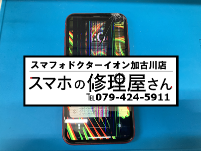 iPhone11液晶250513.png