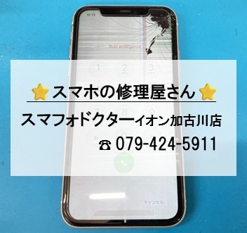 iPhone11-FG_20260729.jpg