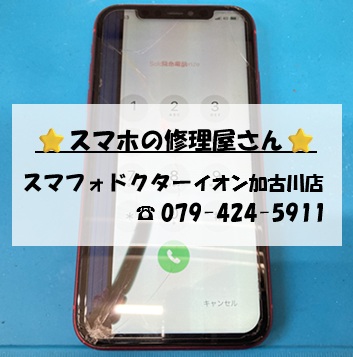 iPhone11-FG_20260901.jpg