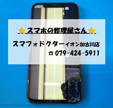 iPhone11-FG_20261013.jpg