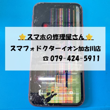iPhone11-FG_20261017.jpg