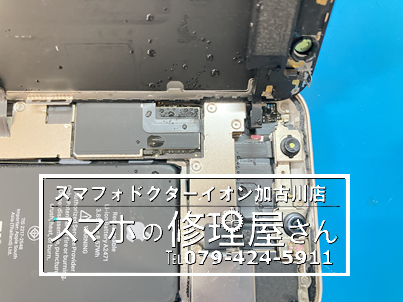 iPhone12 mini洗濯機水没240921-4.png