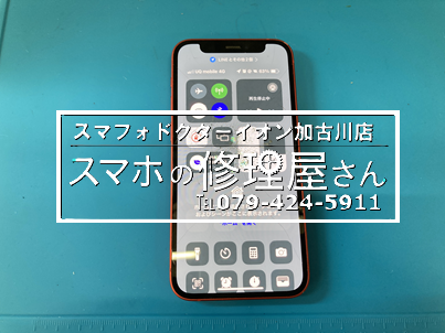 iPhone12 mini液晶不良24731-1.png