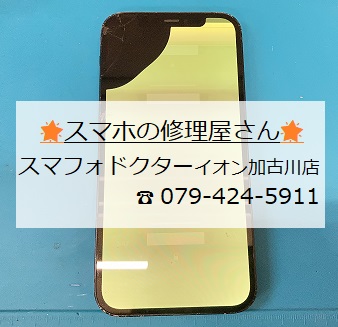 iPhone12-FG_20260916.jpg