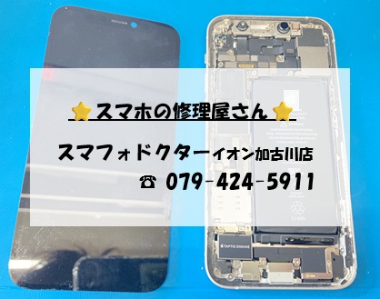 iPhone12-FG_20261004.jpg