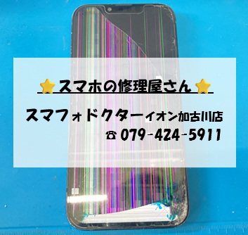 iPhone13-FG_20261006.jpg