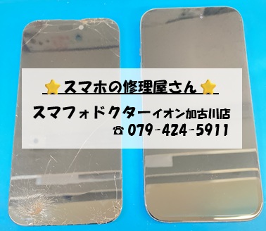 iPhone15-FG_20261025.jpg