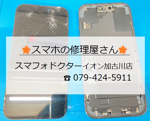 iPhone16-FG_20260821.jpg
