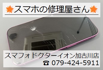iPhone16-FG_20260901.jpg