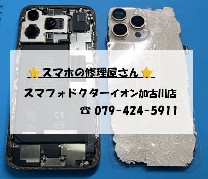 iPhone16ProMax-BP_20260910.jpg