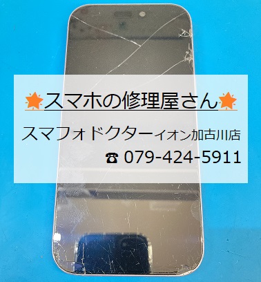 iPhone17-FG_20261007.jpg