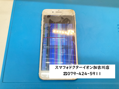 iPhone7プラス231206.png