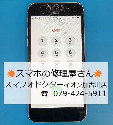 iPhoneSE3-FG_20260917.jpg
