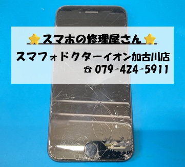 iPhoneSE3-FG_20261014.jpg