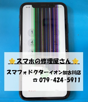 iPhoneXR-FG_20260926.jpg